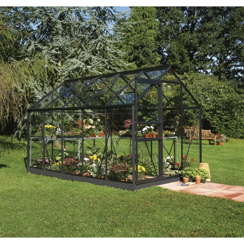 Halls Drivhus Popular 106 Sort       Glas F09579
