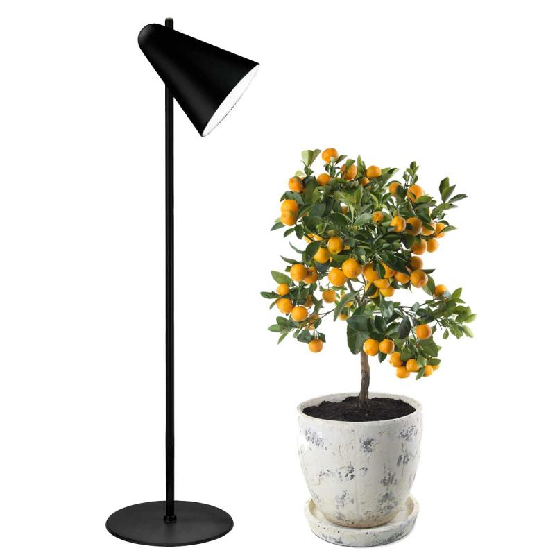 Capelo Sort Gulvlampe   Genbrugsmetal   Vækstlys Led